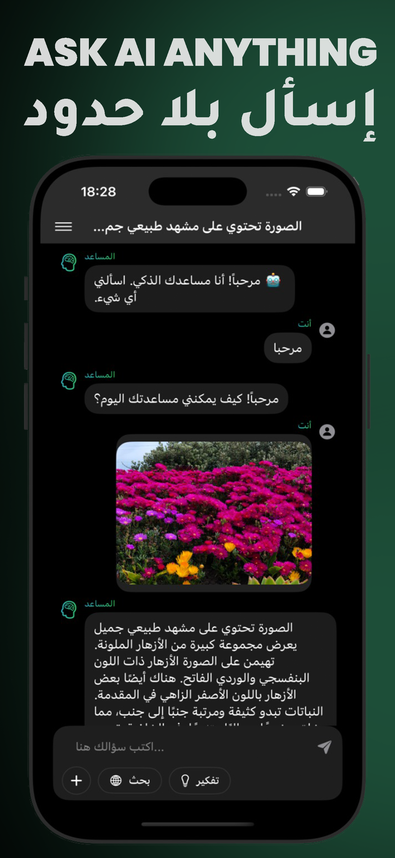 Chat AI Screenshot
